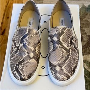 Steve Madden Safary snake slip on sneakers